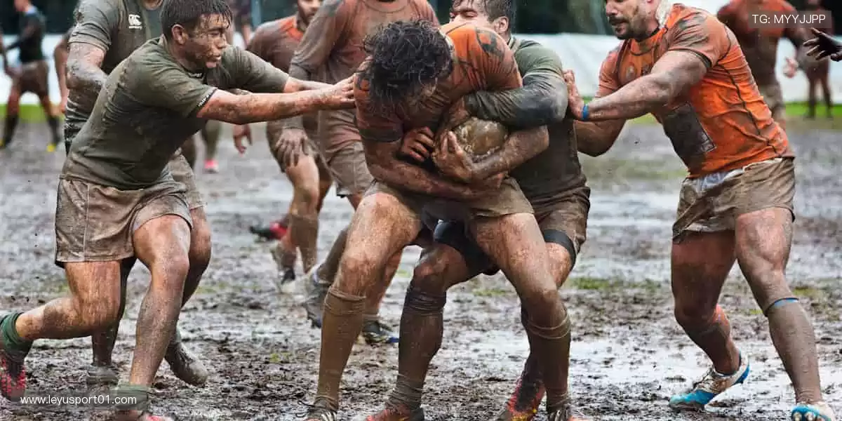 指尖滑动,精彩无限!📱 随时随地,畅享体育直播新体验!
